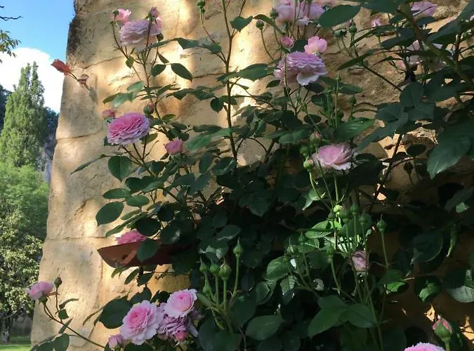 Par La Riviere لا روك-غاجياك